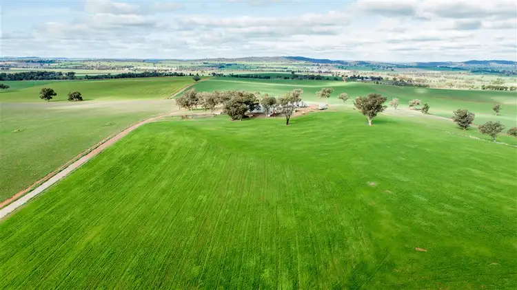 Fifth view of Homely rural property listing, Clearview Tooyal School Road, Wagga Wagga NSW 2650