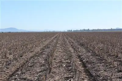 Fourth view of Homely rural property listing, Lalagooli/1399 Normans Rd, Gunnedah NSW 2380