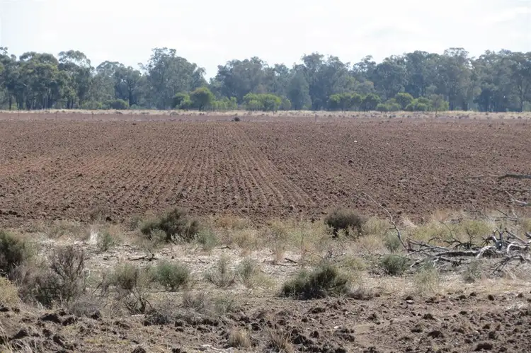 Fifth view of Homely rural property listing, . Pipiriki, Wyalong NSW 2671