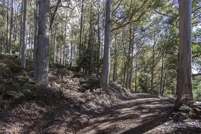 Second view of Homely land listing, Lot 2 Bakers Creek Trail, Lucaston TAS 7109