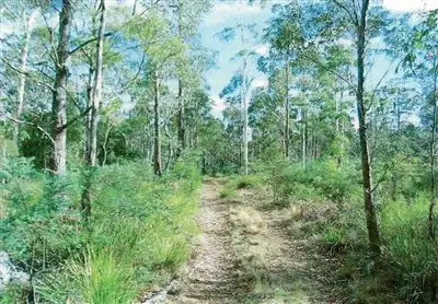 Main view of Homely land listing, Lot 63 Lake View Road, Lake Leake TAS 7210