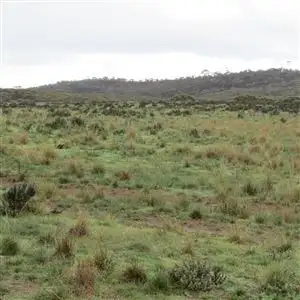 Fourth view of Homely rural property listing, . "Beehive Farm" Carlingup Road, Ravensthorpe WA 6346
