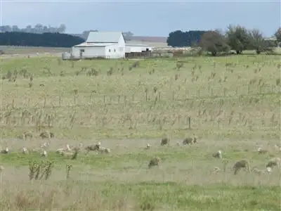 Second view of Homely rural property listing, "Linton"/Mila Monaro H'way Bombala, Bombala NSW 2632