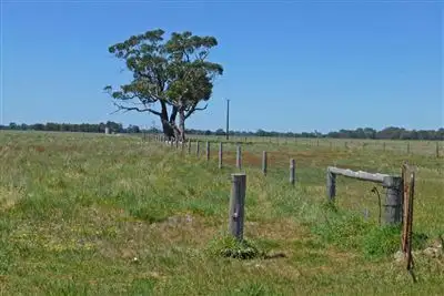 Second view of Homely rural property listing, 117 Mt Burr Road, Penola SA 5277