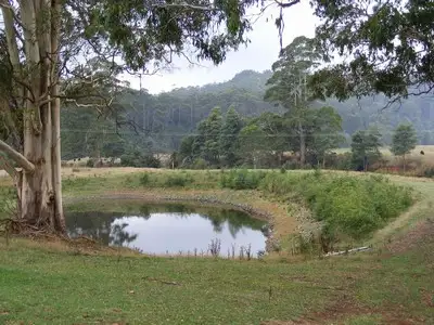 Fifth view of Homely rural property listing, 281 Camena Road, Penguin TAS 7316