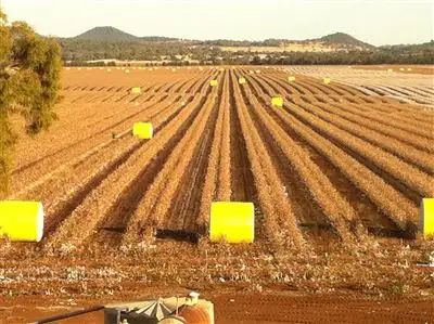 Fifth view of Homely rural property listing, "Kairi" 11850 Oxley Hwy Mullaley, Gunnedah NSW 2380