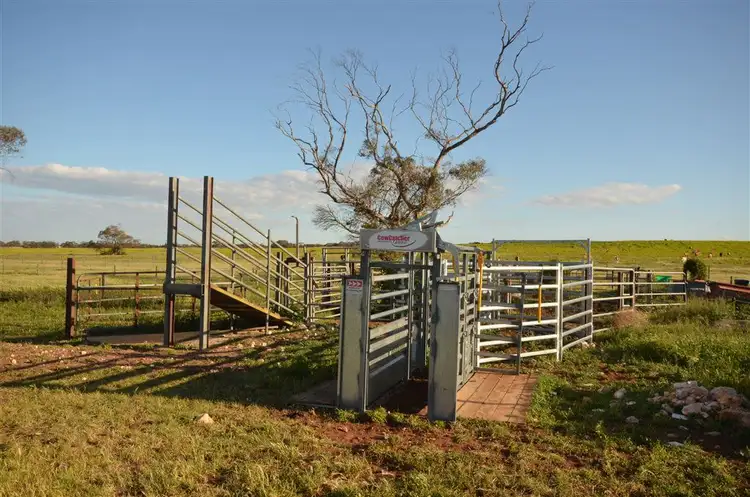 Second view of Homely rural property listing, Lot 132 Kepa Road, Murray Bridge SA 5253