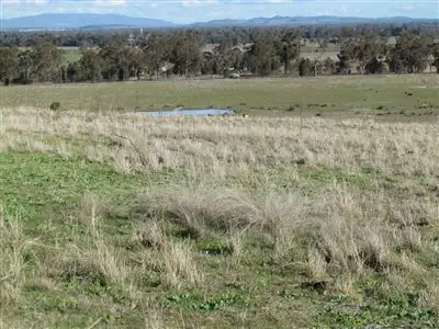 8183 "Hillside" The Escort  Way, Eugowra NSW 2806