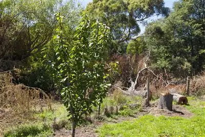 Fifth view of Homely land listing, Lot 2 Lucaston Road, Lucaston TAS 7109