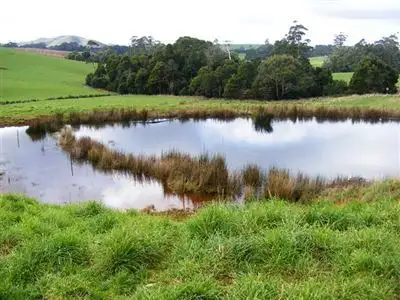 Sixth view of Homely rural property listing, 111 Allens Road, Sisters Creek TAS 7325