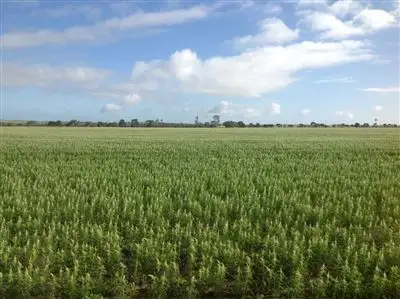 Main view of Homely rural property listing, Address available on request