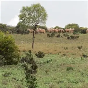 Seventh view of Homely rural property listing, . "Beehive Farm" Carlingup Road, Ravensthorpe WA 6346