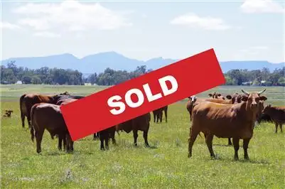 Main view of Homely rural property listing, 18764 Kamilaroi Highway, Narrabri NSW 2390