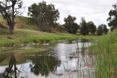 Main view of Homely rural property listing, 1797 Waverley Rd, "Takora", Gundy via, Scone NSW 2337