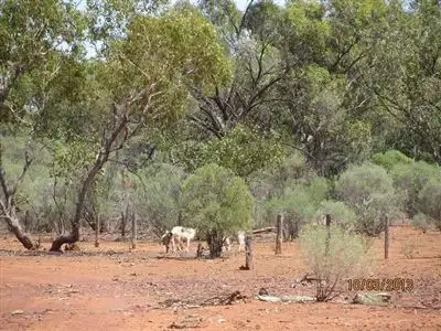 Seventh view of Homely rural property listing, * BUNDELLA SOUTH, Cobar NSW 2835