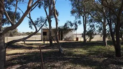 Seventh view of Homely rural property listing, 2641 Starcevich Chapman Road, Muntadgin WA 6420