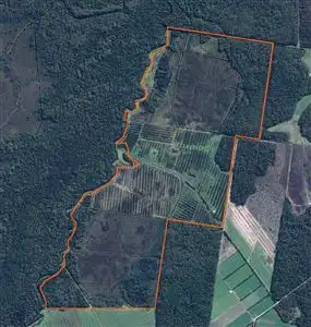 Main view of Homely rural property listing, . Barcoo Road, Togari TAS 7330