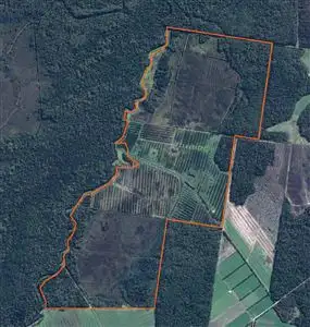 Main view of Homely rural property listing, . Barcoo Road, Togari TAS 7330