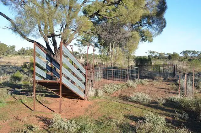 Second view of Homely rural property listing, * The Top Block, Cobar NSW 2835