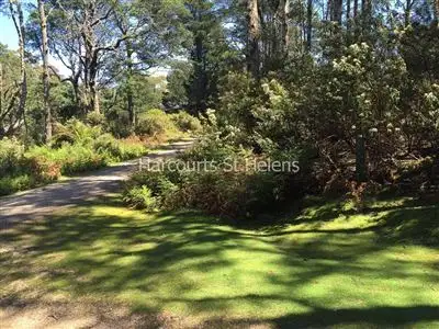1062 Lottah Road, Goulds Country TAS 7216