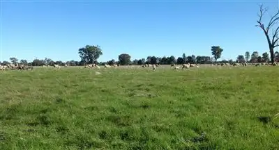 Main view of Homely rural property listing, . Rutherglen-Springhurst Road, Springhurst VIC 3682