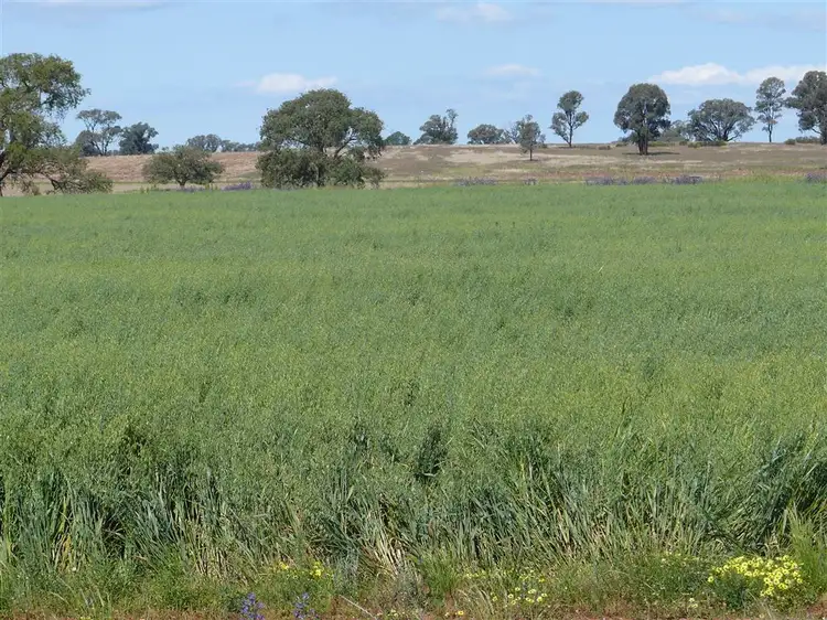 Fourth view of Homely rural property listing, Address available on request