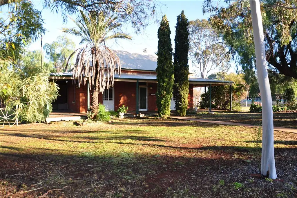 Main view of Homely house listing, 13 Murray Street, Cobar NSW 2835