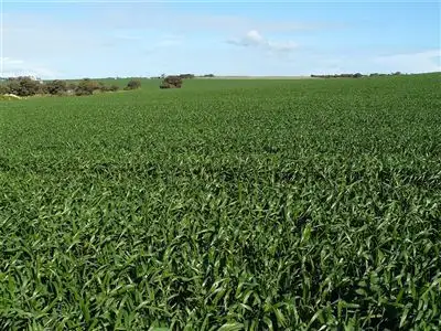 Main view of Homely rural property listing, Lot 5 North Coast road, Point Turton SA 5575