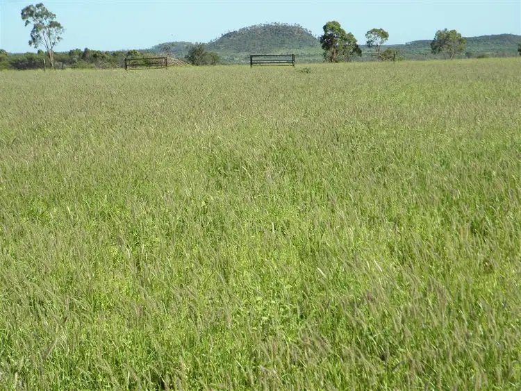 Fourth view of Homely rural property listing, " Spring Creek", Emerald QLD 4720