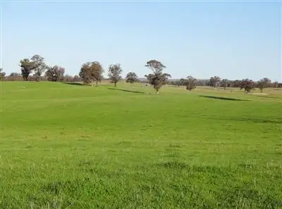 Main view of Homely rural property listing, 501 Forest Road, Wilby VIC 3728