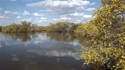 Sixth view of Homely rural property listing, Address available on request