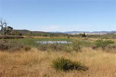Main view of Homely rural property listing, 1575 Cooma Road, Braidwood NSW 2622