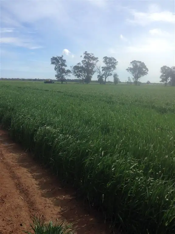 Seventh view of Homely rural property listing, Address available on request