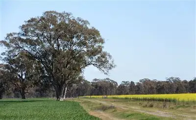 Third view of Homely rural property listing, 18 Lewis Road, Miepoll VIC 3666