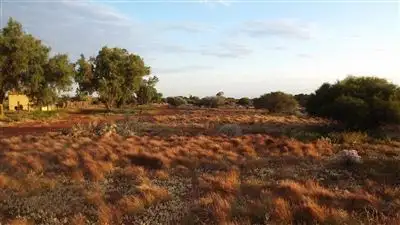 Fourth view of Homely rural property listing, Address available on request