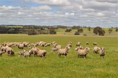 Main view of Homely rural property listing, Address available on request