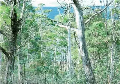 Seventh view of Homely land listing, Lot 63 Lake View Road, Lake Leake TAS 7210