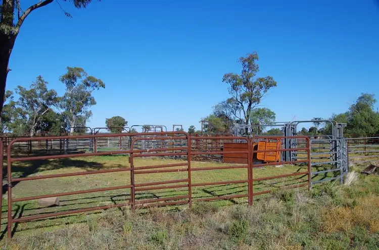 . Stumpy Lane, Wee Waa NSW 2388