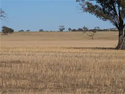 Sixth view of Homely rural property listing, 927 Solomon Road, Quairading WA 6383