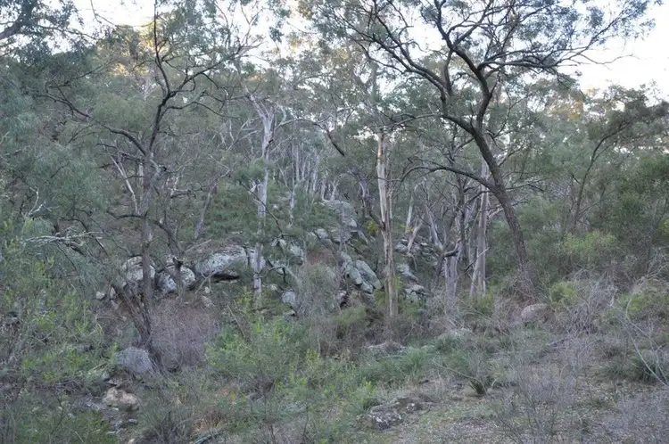 Sixth view of Homely rural property listing, Lot 10 Bunnan Rd, Scone NSW 2337