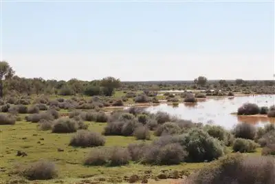 Fourth view of Homely rural property listing, " Ingomar Station", Coober Pedy SA 5723