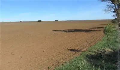 Main view of Homely rural property listing, 294 Gregor road, Curramulka SA 5580