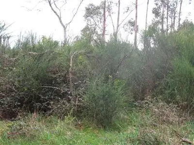 2018861 Adams Street, Zeehan TAS 7469