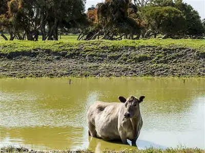 Fourth view of Homely land listing, Lot 20 Coles Road, Waroona WA 6215