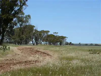 Fifth view of Homely rural property listing, 617 North Road, Dowerin WA 6461