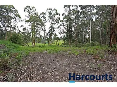 Sixth view of Homely rural property listing, 1717 Main Neerim Road, Neerim South VIC 3831