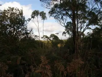 Sixth view of Homely rural property listing, Lot 11 Ansons Road, Gladstone TAS 7264