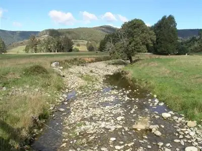 Fourth view of Homely rural property listing, 1140 New River Road, Ringarooma TAS 7263