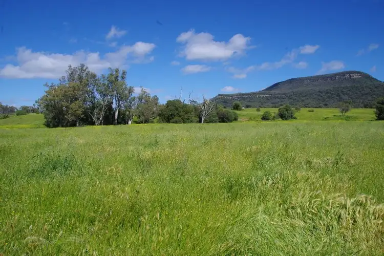 Third view of Homely rural property listing, 1131 Timor Mountain Road, Narrabri NSW 2390