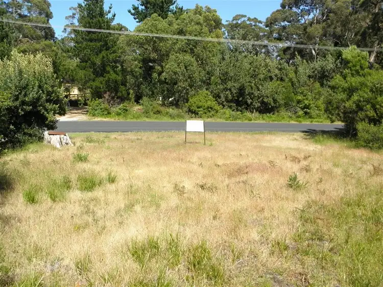 17 Elfrida Avenue, Sisters Beach TAS 7321